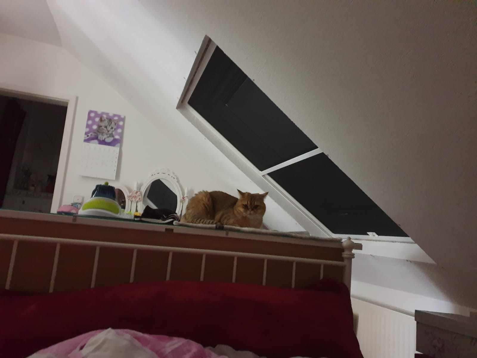 Da gehen keine Insekten durch die Maschen ! siegel Flyscreens Dachflächenfenster